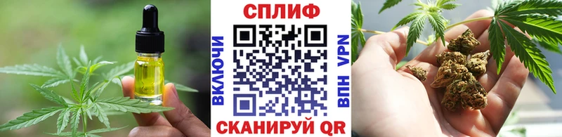 купить закладку  Елизаветинская  ссылка на мегу зеркало  Cannafood марихуана 