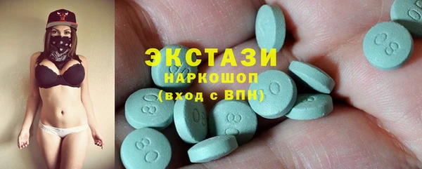 индика Тобольск