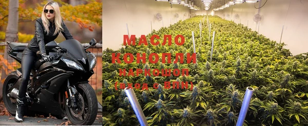 индика Тобольск