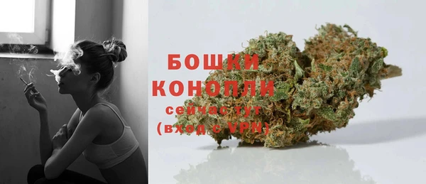 индика Тобольск