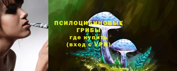 индика Тобольск