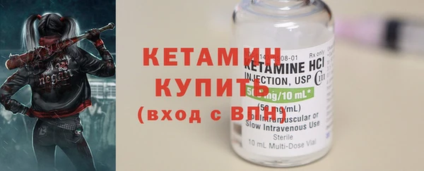 индика Тобольск