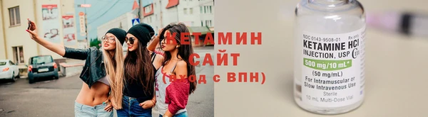 индика Тобольск