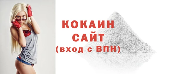 индика Тобольск