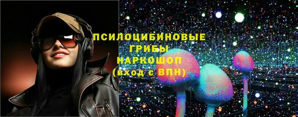 индика Тобольск