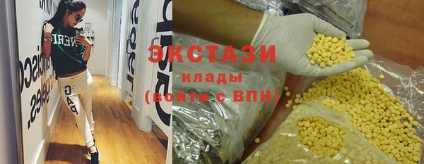 индика Тобольск