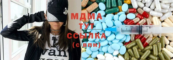 индика Тобольск