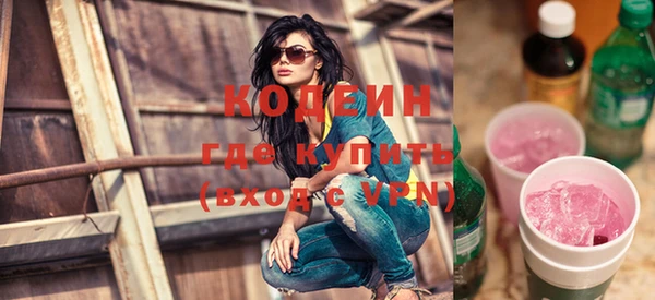 индика Тобольск