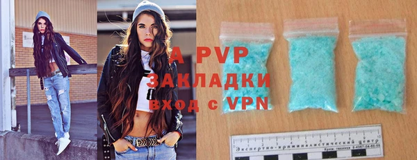 индика Тобольск