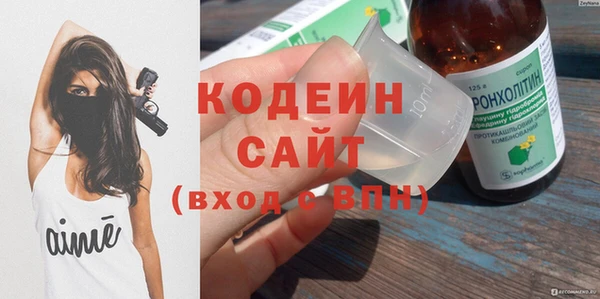 индика Тобольск