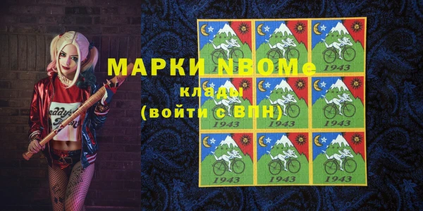 индика Тобольск