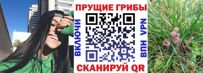 Псилоцибиновые грибы ЛСД  ссылка на мегу маркетплейс  Елизаветинская 